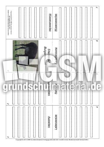 Faltbuch-Bulgarenesel.pdf